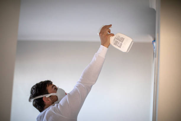 Best Mold Remediation for Specific Building Types in Fayetteville, WV