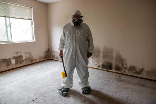 Professional Mold Remediation in Fayetteville, WV
